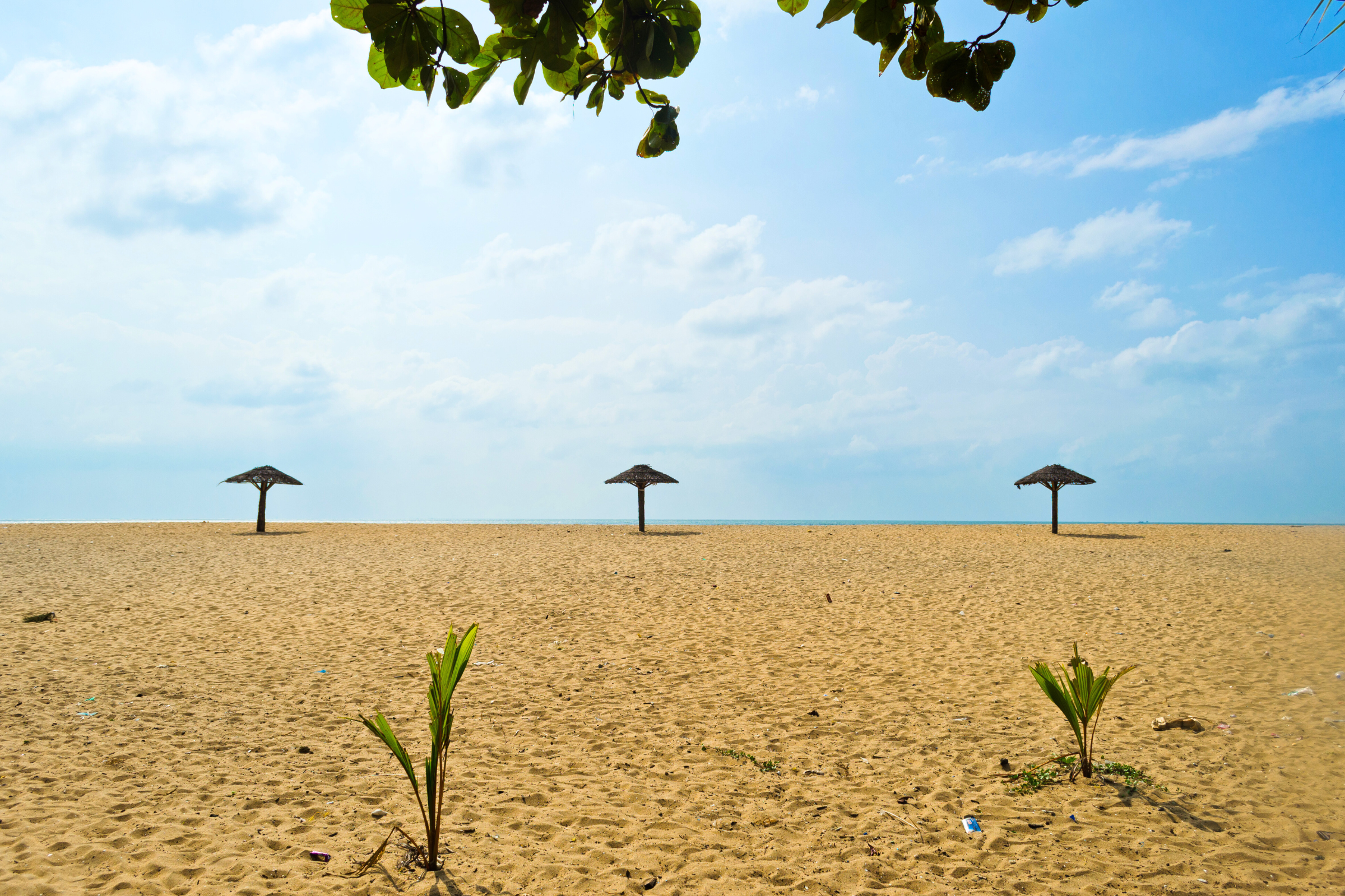 28_Cherai[1].webp